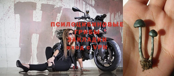 ALPHA PVP Осинники