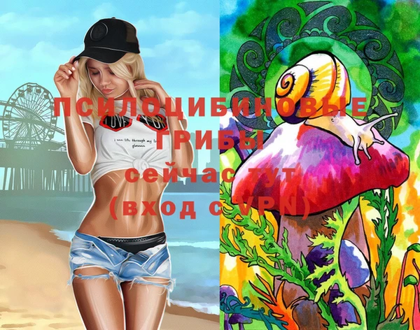 MDMA Няндома