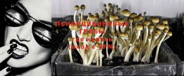 гашиш Осташков