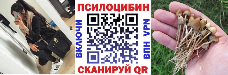 hydra рабочий сайт  Углегорск  Галлюциногенные грибы мицелий 